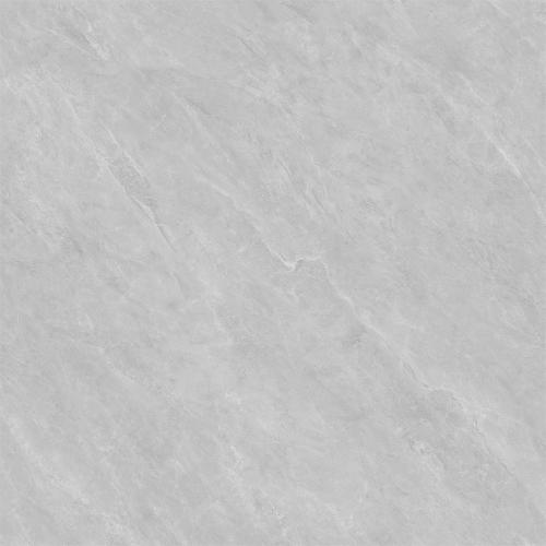 GMP88696-拉米娜-03