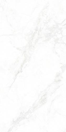 GMA156006-寒江雪-4-